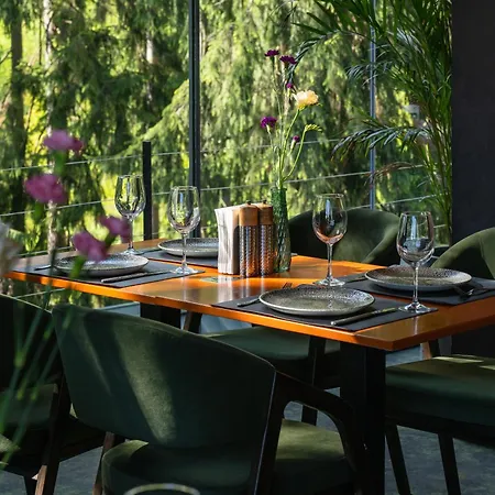 Stara Pravda - History בוקובל